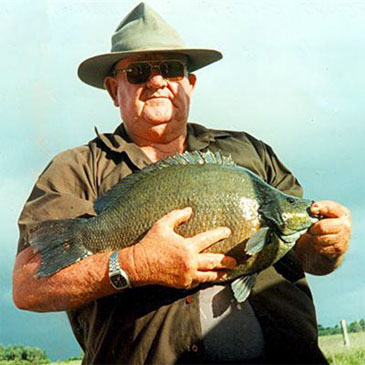 2527_Black Bream_Hephaestus fuliginosus.jpg